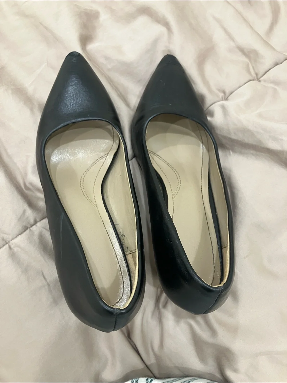 Classic Pointed Toe Women's Heels in Black
